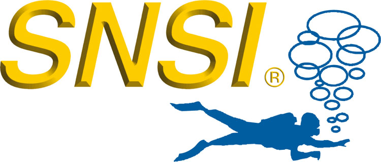 LOGO-SNSI