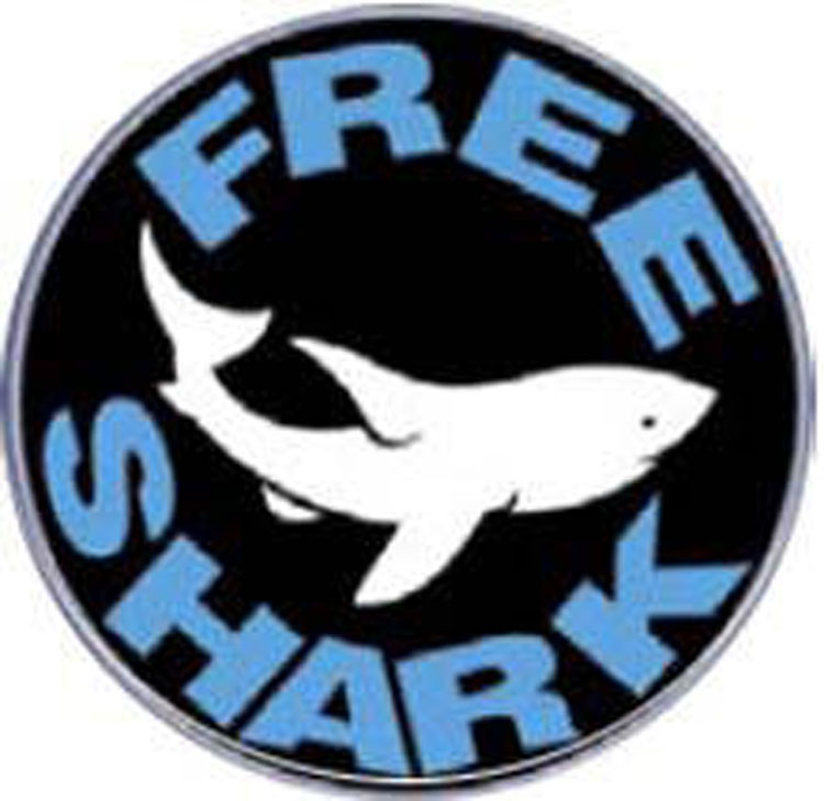 free shark