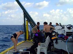 scientific diving23-May-009
