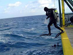 scientific diving23-May-027-Jaret