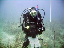 scientific diving32-Steph-Sandy-Pt-1-05-12-2